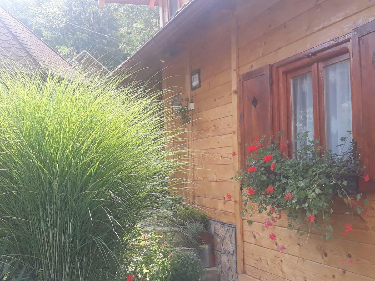 Guesthouse Kuzmanovic Guča Exterior foto